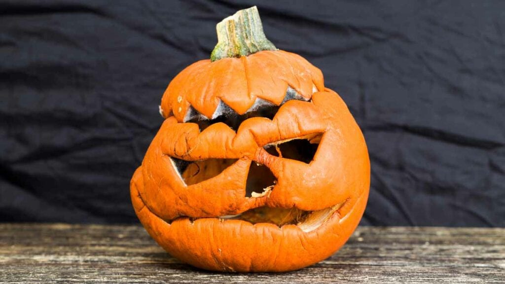 We can show you some creative ways to dispose of your Jack-o-Lanterns after the season has passed.